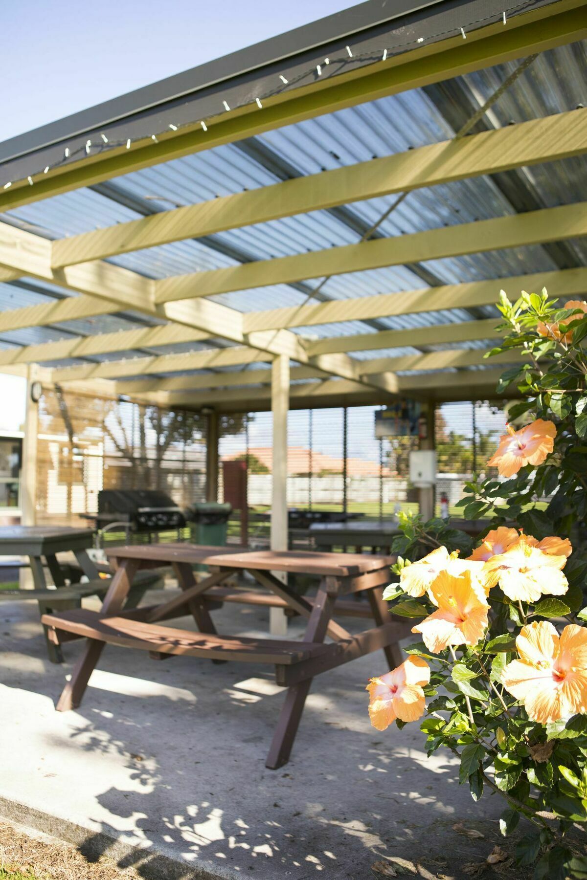 Mercury Bay Holiday Park Whitianga Luaran gambar
